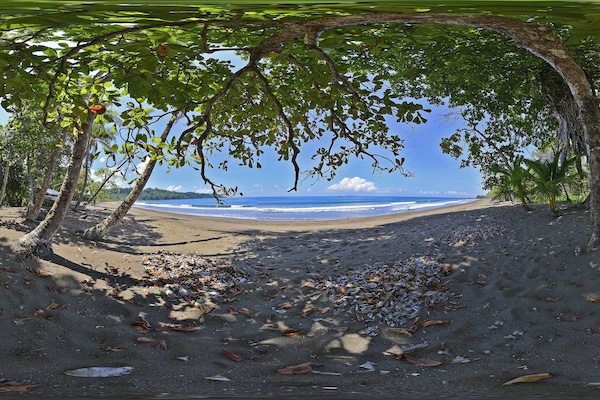 Nära stranden