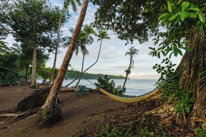 A hammock between trees on a beach with a view of the ocean. - Poor Man's Paradise (Drake Bay)