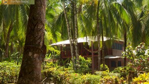 Um resort tropical com uma grande árvore em primeiro plano, vegetação exuberante e um edifício com telhado vermelho e paredes brancas.