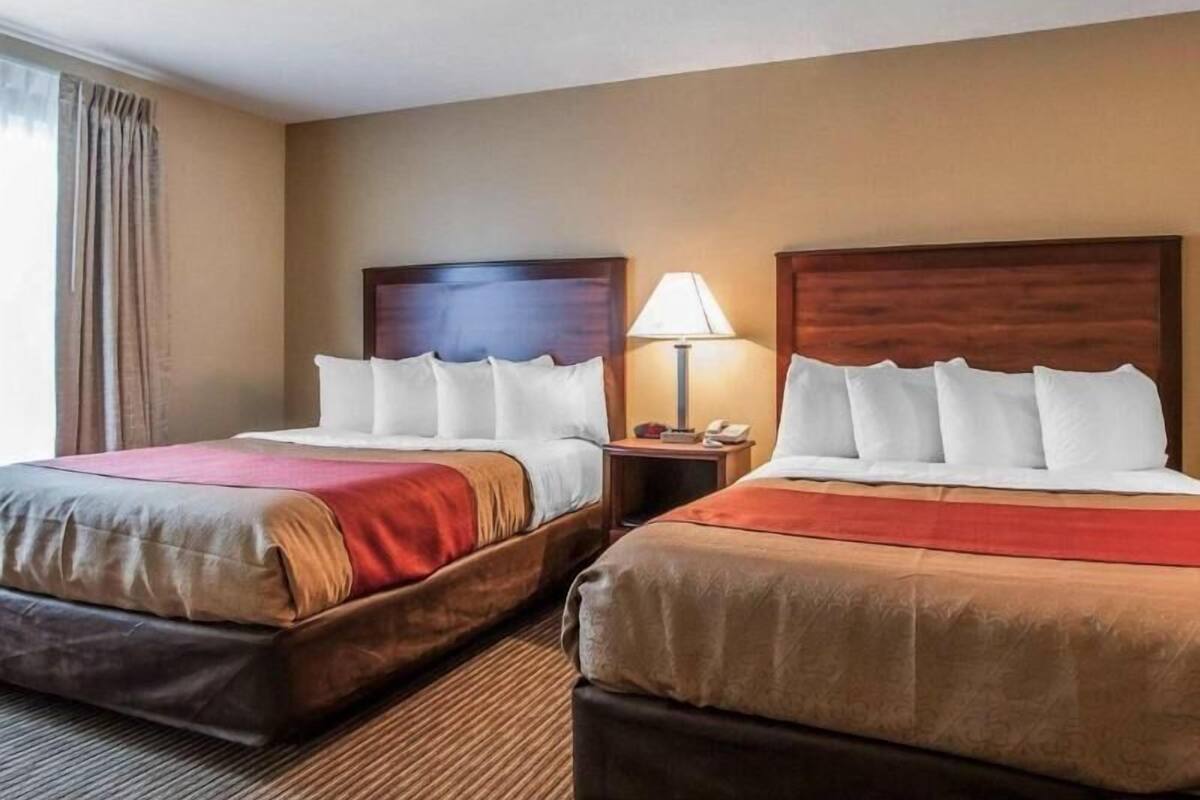 Two double beds with wooden headboards, a bedside table with a lamp, and a window with curtains.