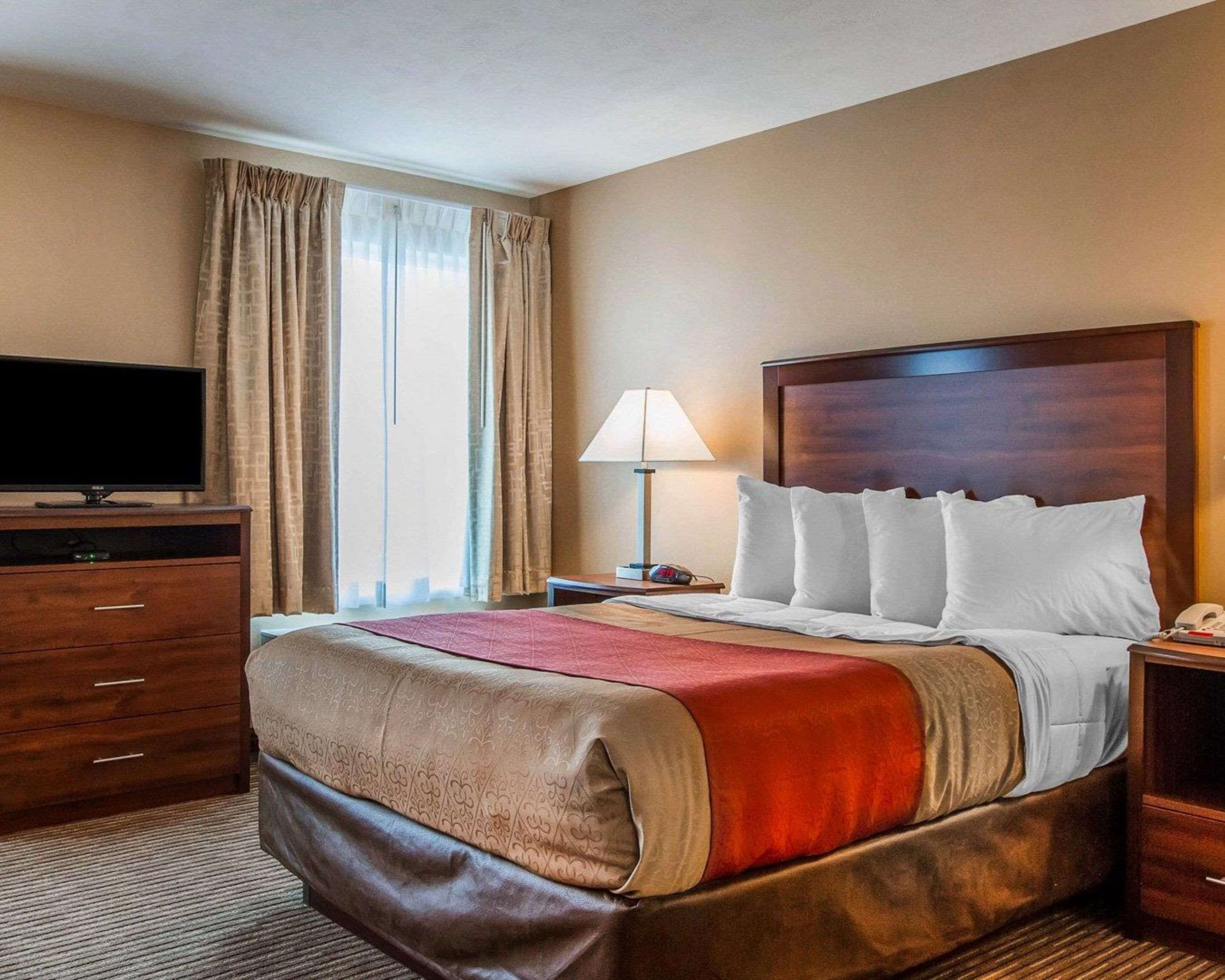 suite, 1 queen bed with sofa bed, non smoking | desk, iron/ironing board, free wifi, bed sheets