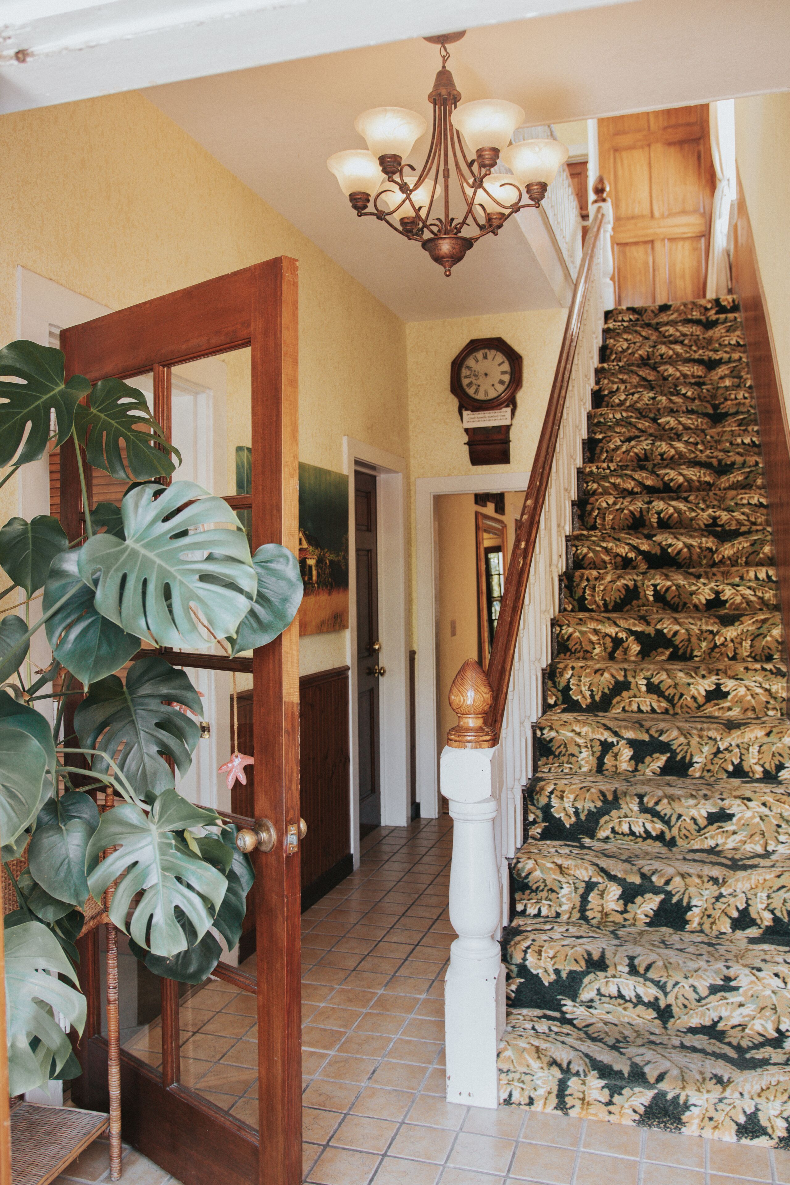 Foto - Seascape Tropical Inn