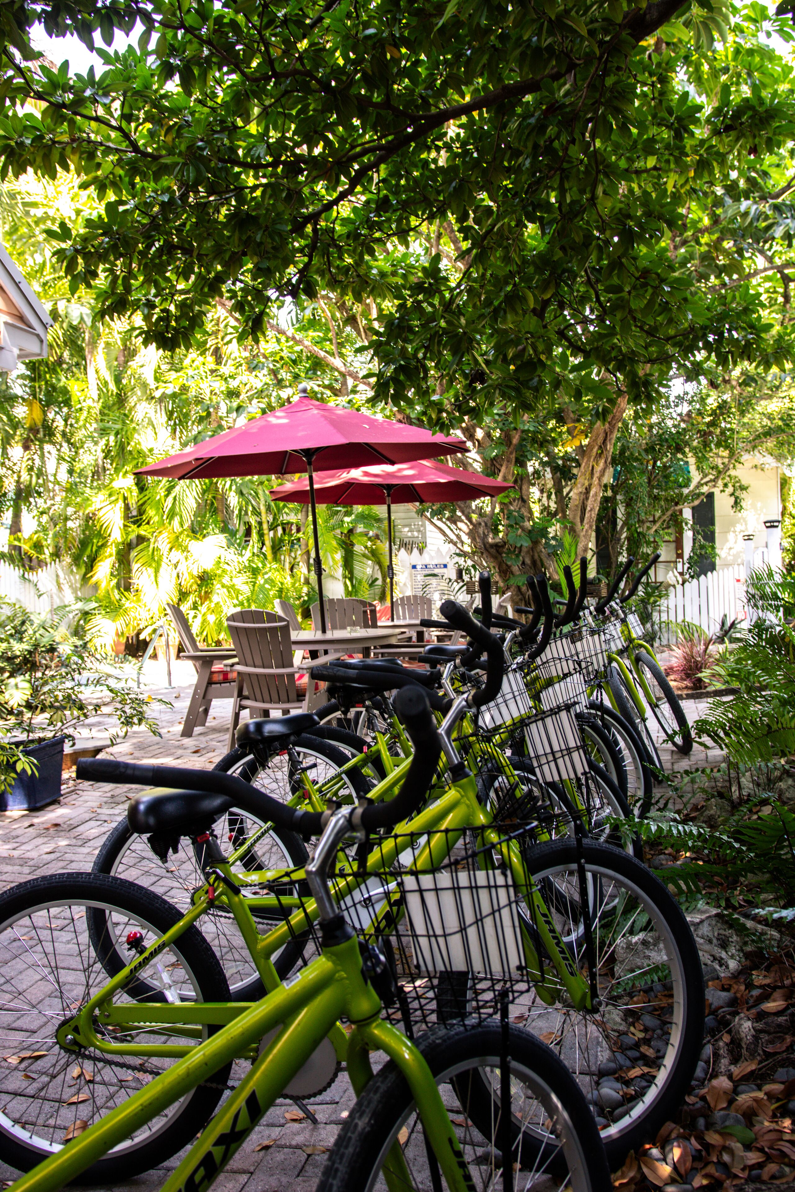 Foto - Seascape Tropical Inn