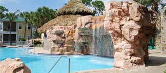 Purple Parrot Village