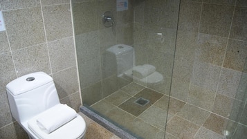 Shower, free toiletries, hair dryer