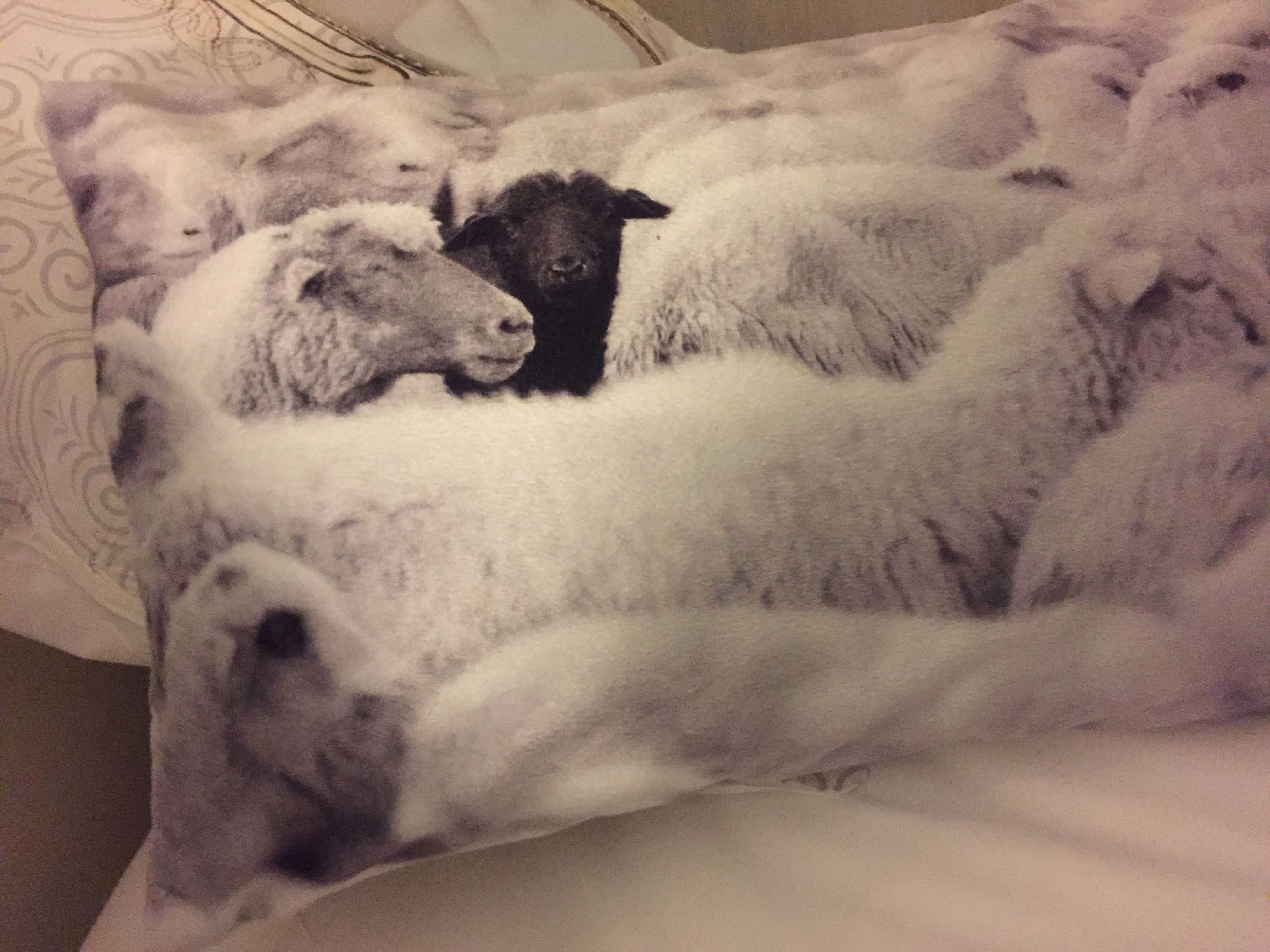 A pillow with a sheep design.