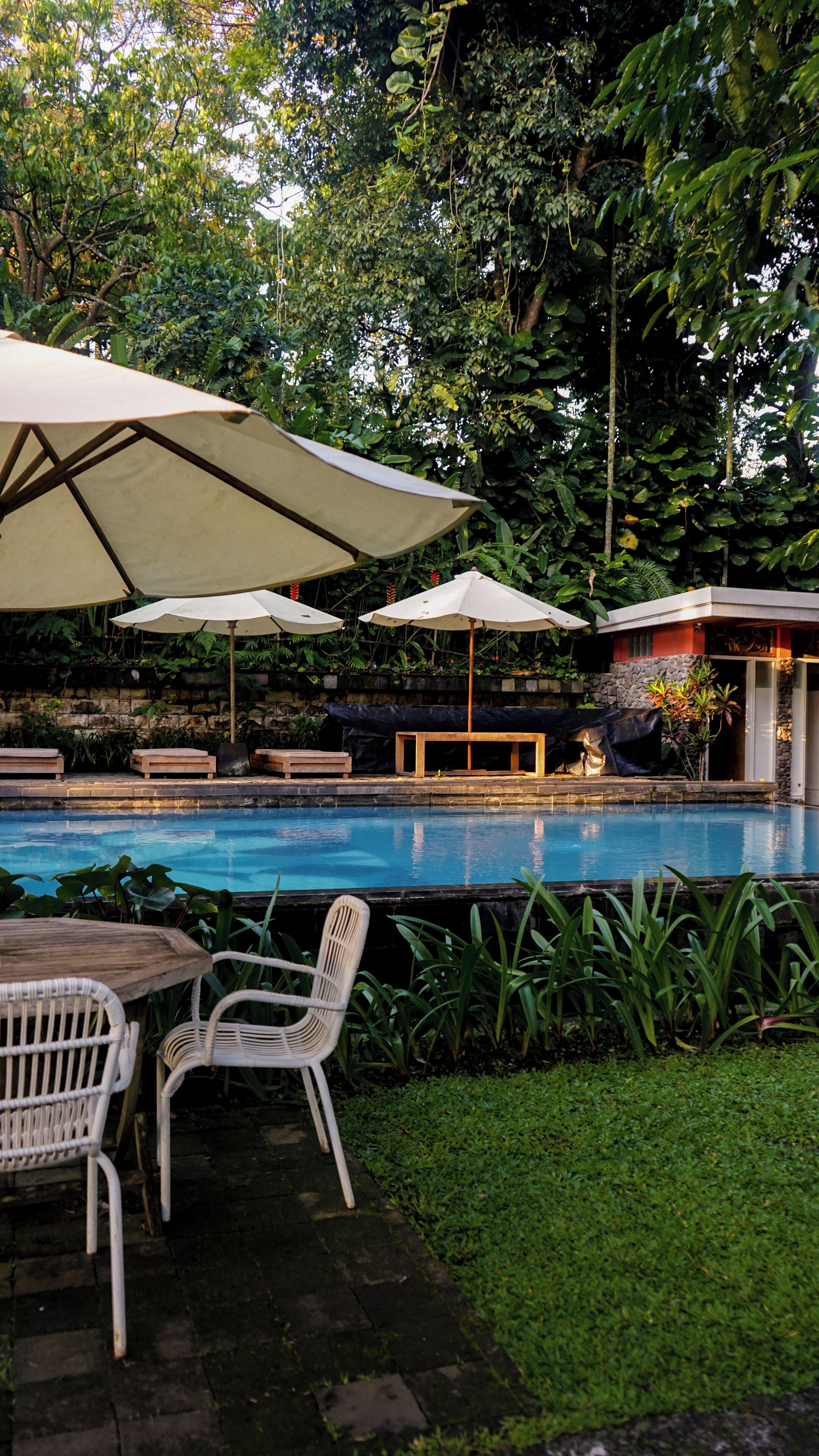 Hồ bơi ngoài trời 