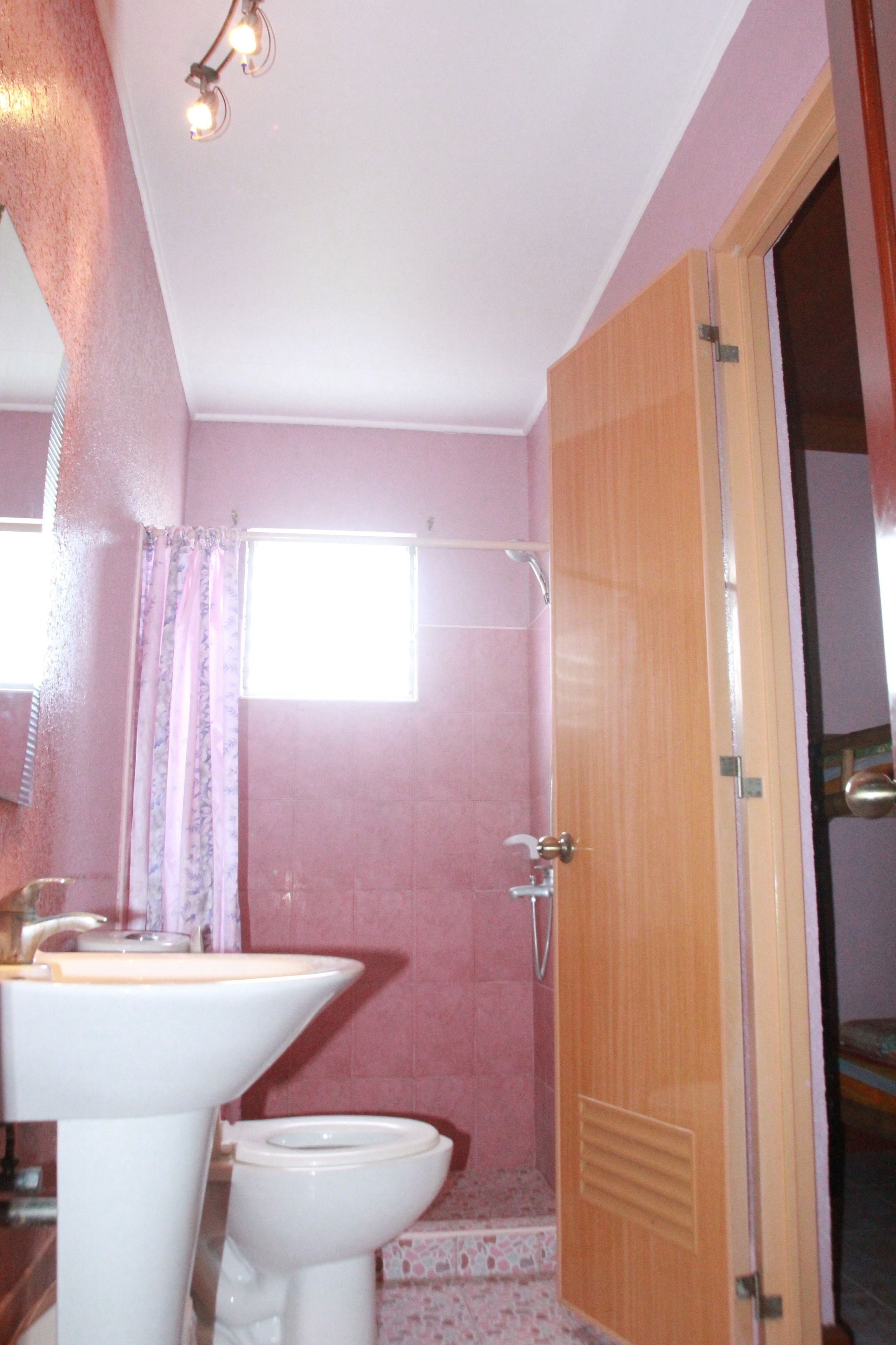 Une salle de bain avec un lavabo, des toilettes et une douche.
