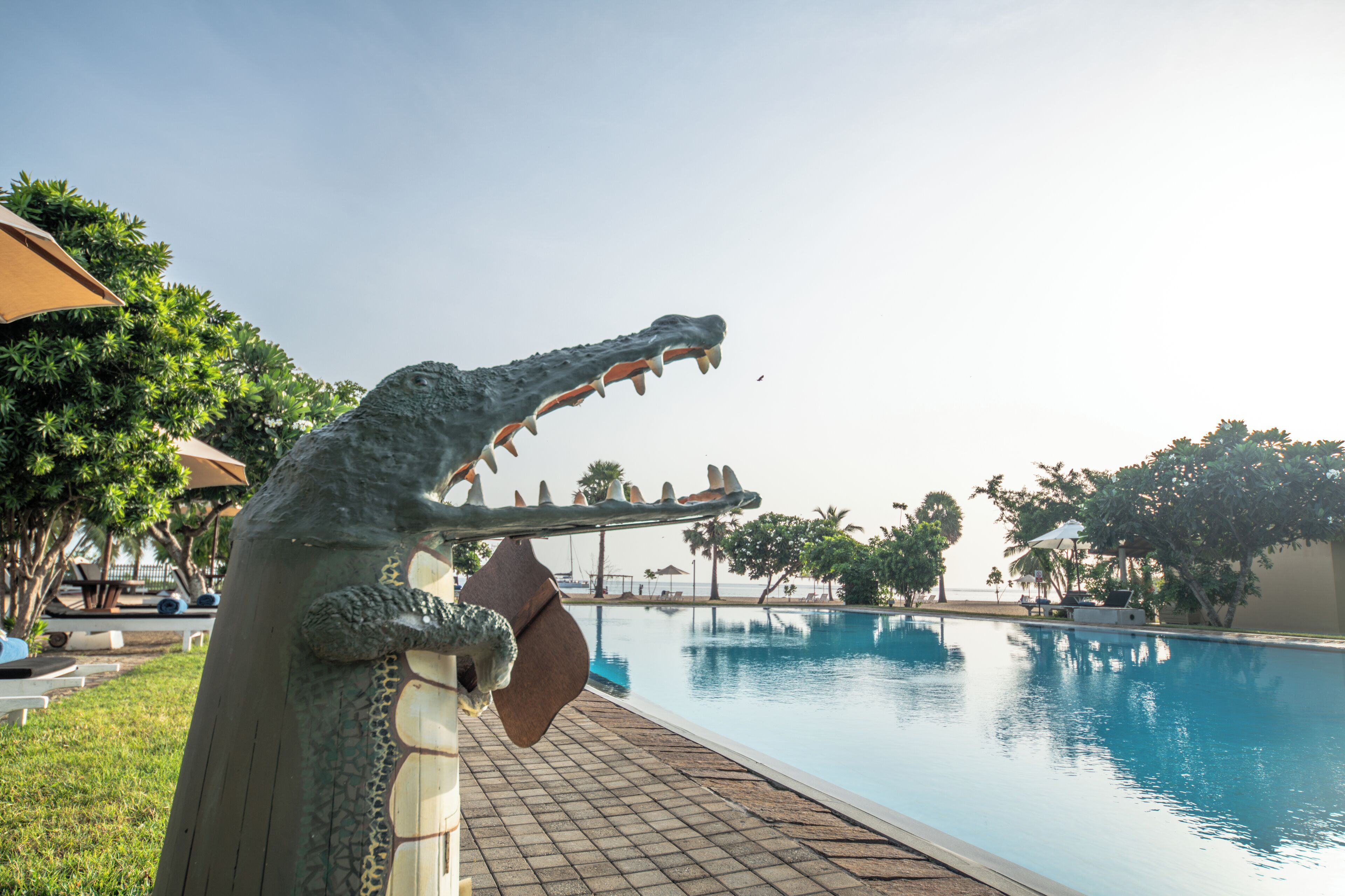 A poolside area with a large crocodile statue, lounge chairs, and umbrellas.