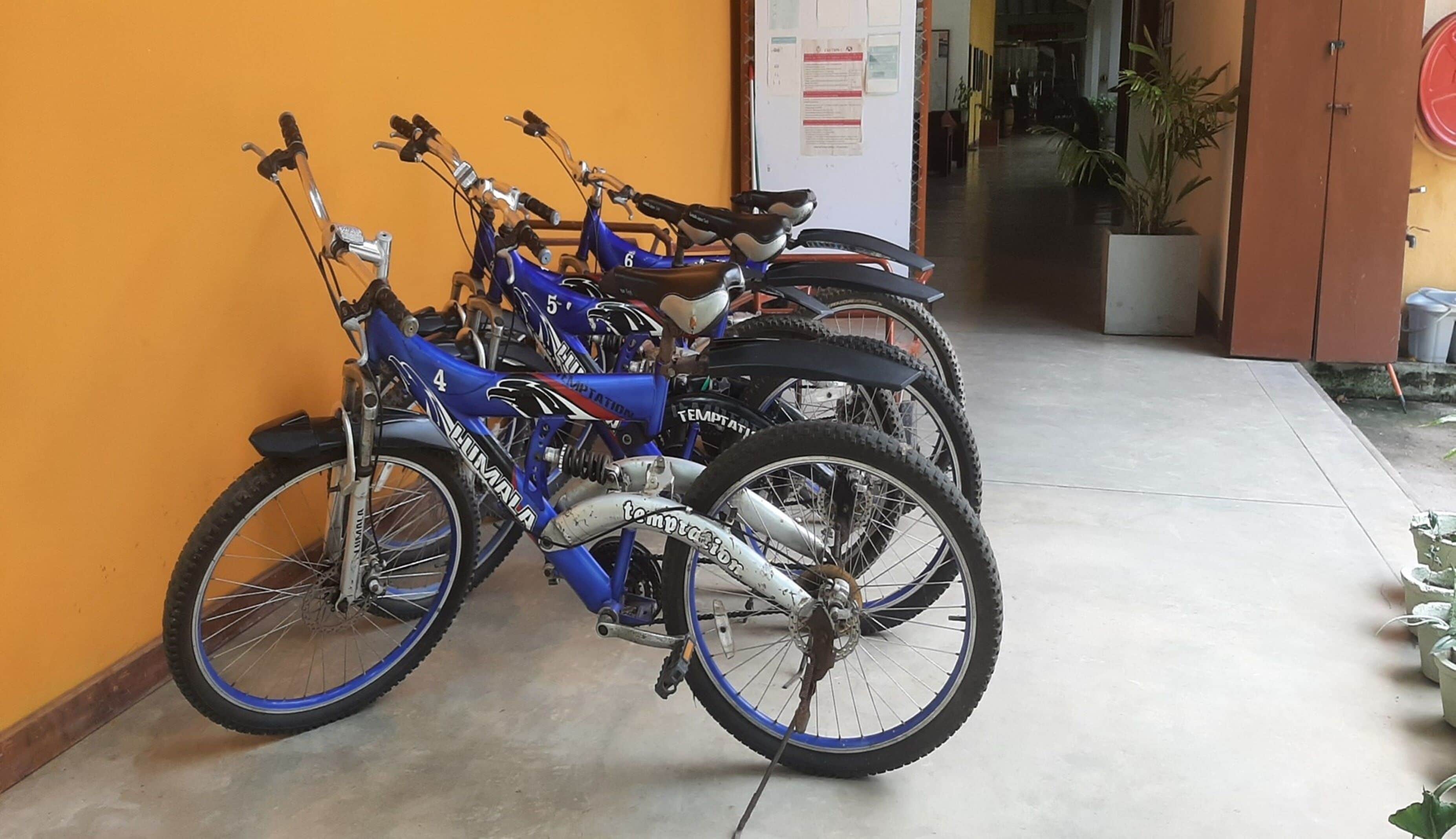 A row of bicycles parked against an orange wall, with a door and a plant visible in the background.