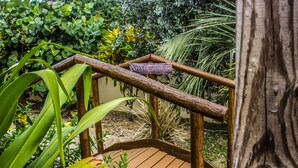 Jardín