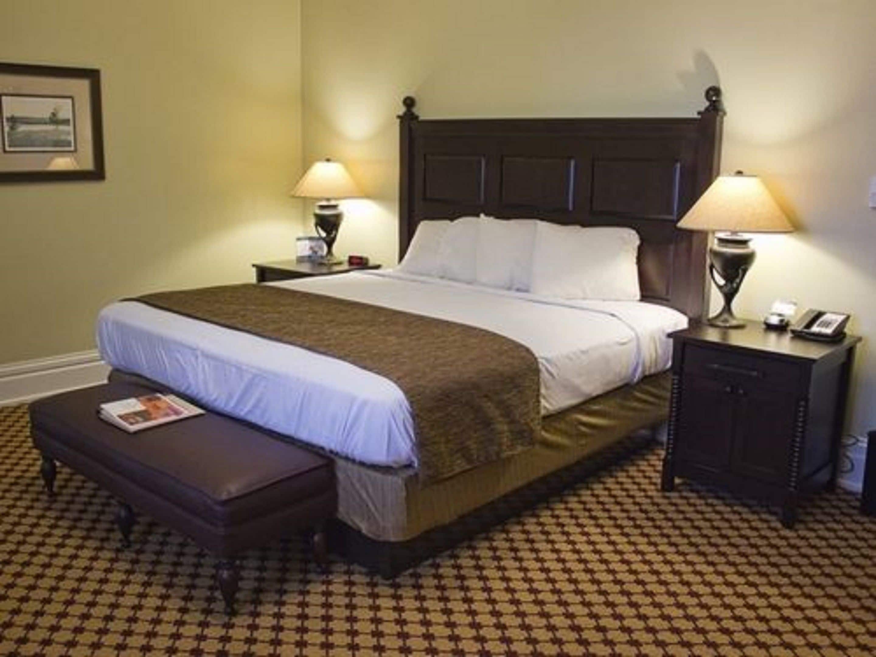 Una cama bien hecha con un cabecero marrón, dos mesitas de noche con lámparas, un banco y una alfombra estampada.
