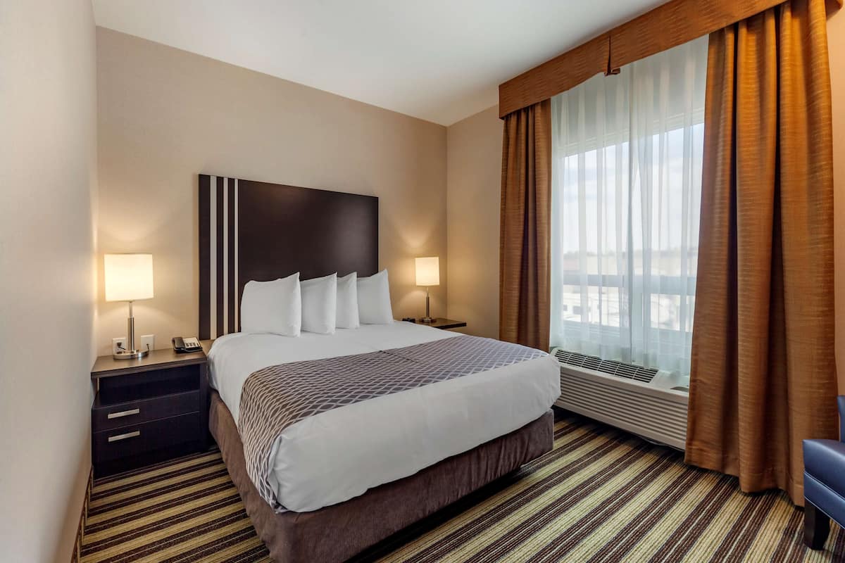 Premium bedding, down comforters, in-room safe, desk