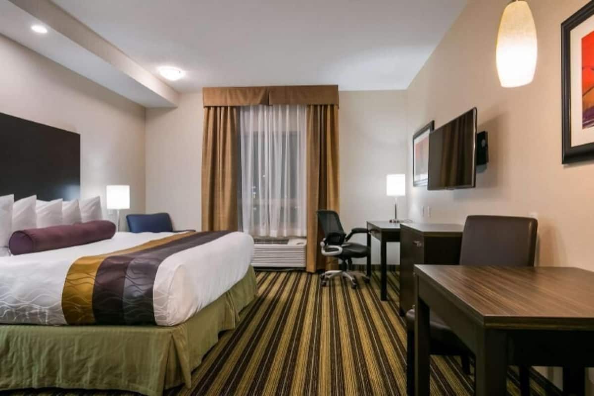 A hotel room with a bed, a desk, a chair, a TV, and a window with curtains.