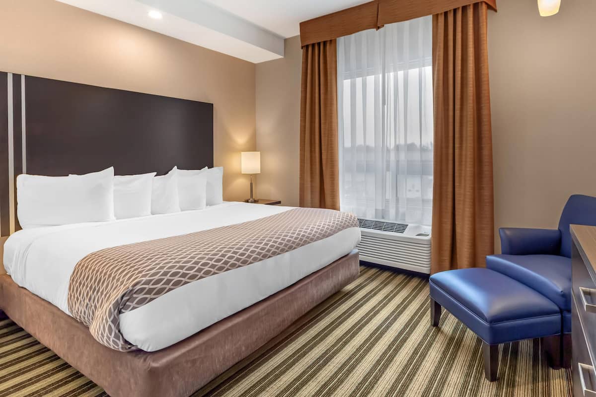 Suite, 1 King Bed with Sofa bed, Non Smoking, Kitchen (with Sofabed) | Premium bedding, down comforters, in-room safe, desk