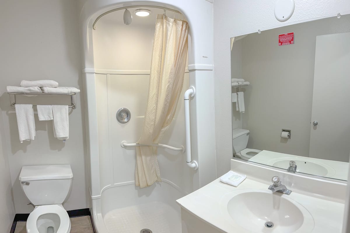 A modern bathroom with a walk-in shower, toilet, and a sink with a mirror.