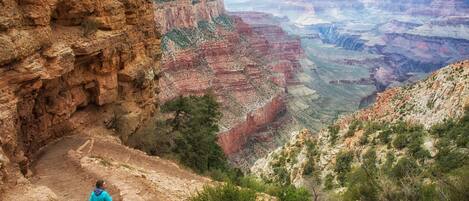 A person walking on a rocky trail with a canyon view in the background.