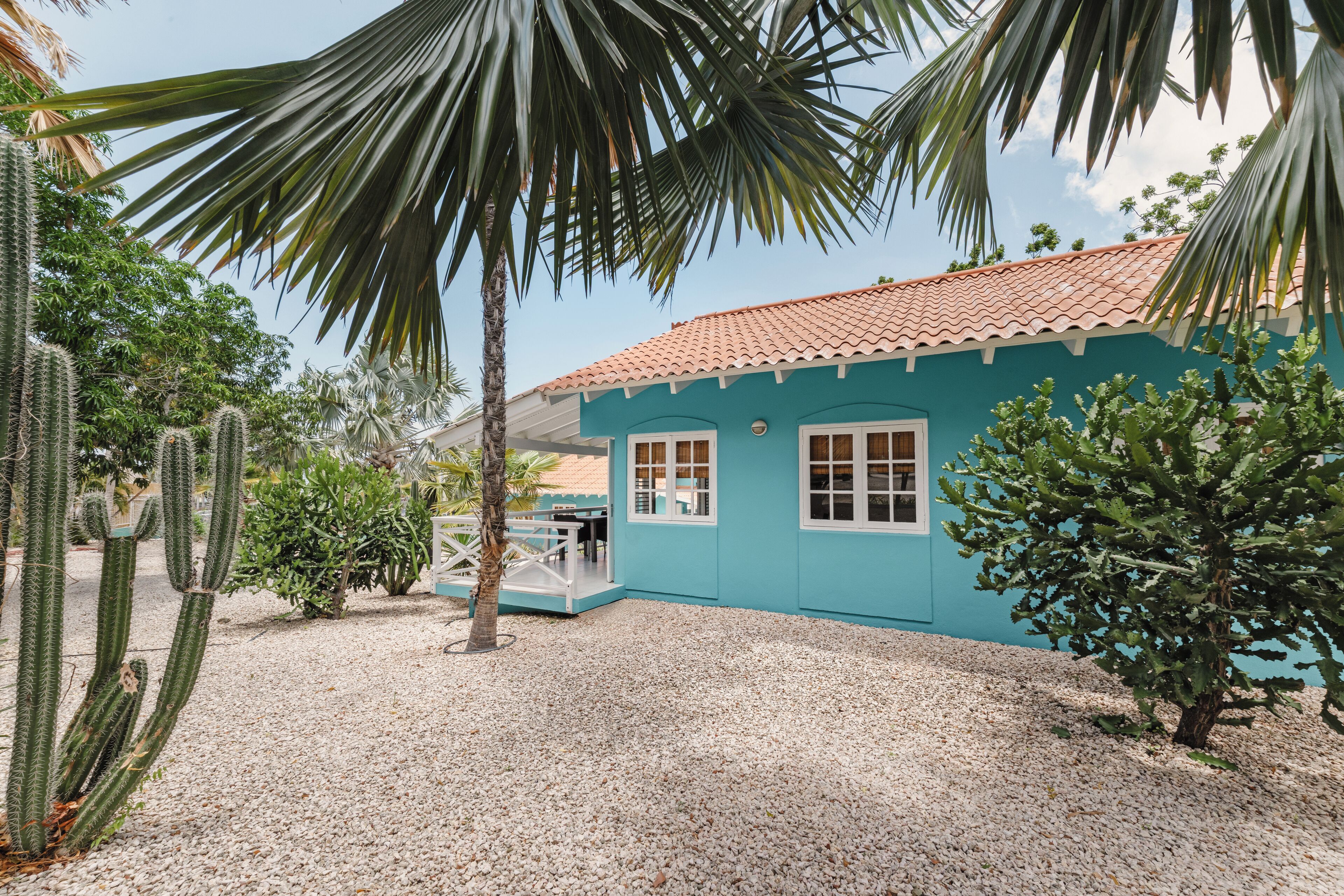 Een turquoise gebouw met een pannendak, omringd door cactussen en palmbomen.