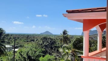 Une vue depuis un balcon donnant sur un paysage luxuriant, avec des palmiers et une montagne à l’horizon.