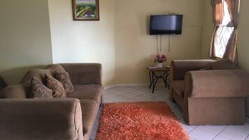 TV layar datar