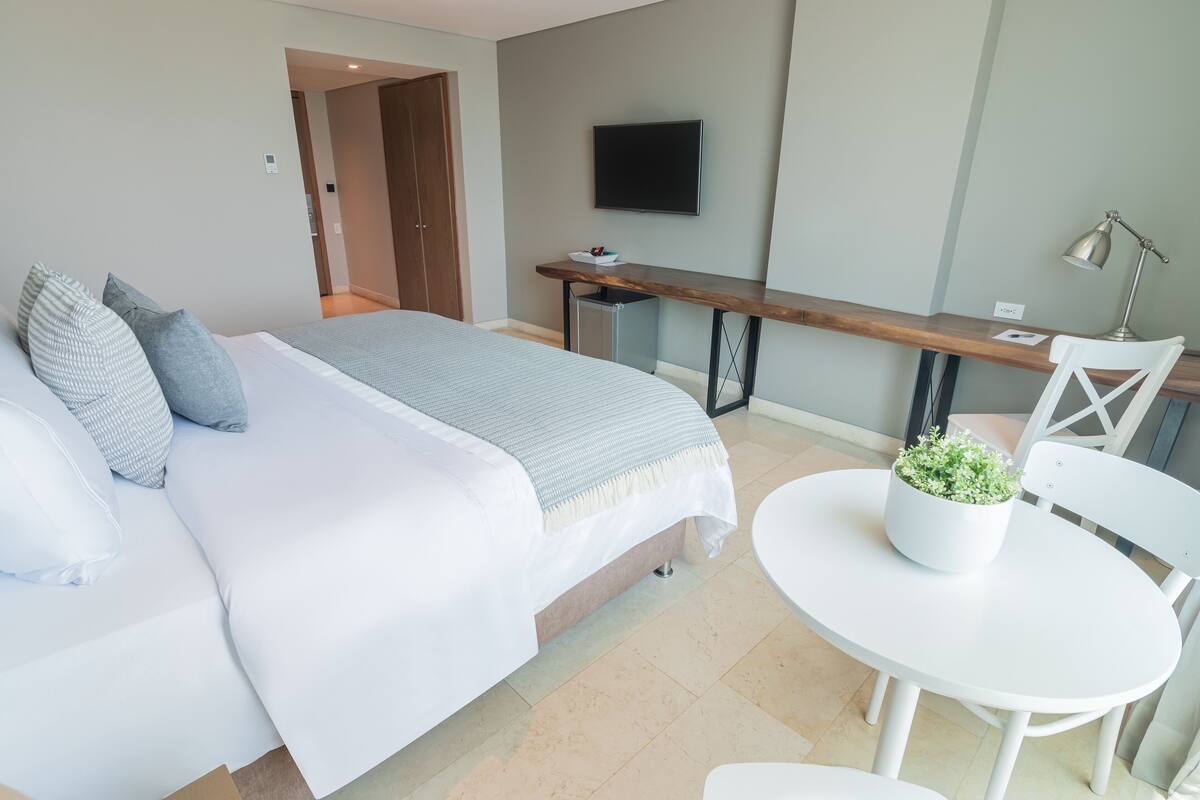 Habitación de hotel con una cama, un escritorio, un televisor y una mesita con una planta.