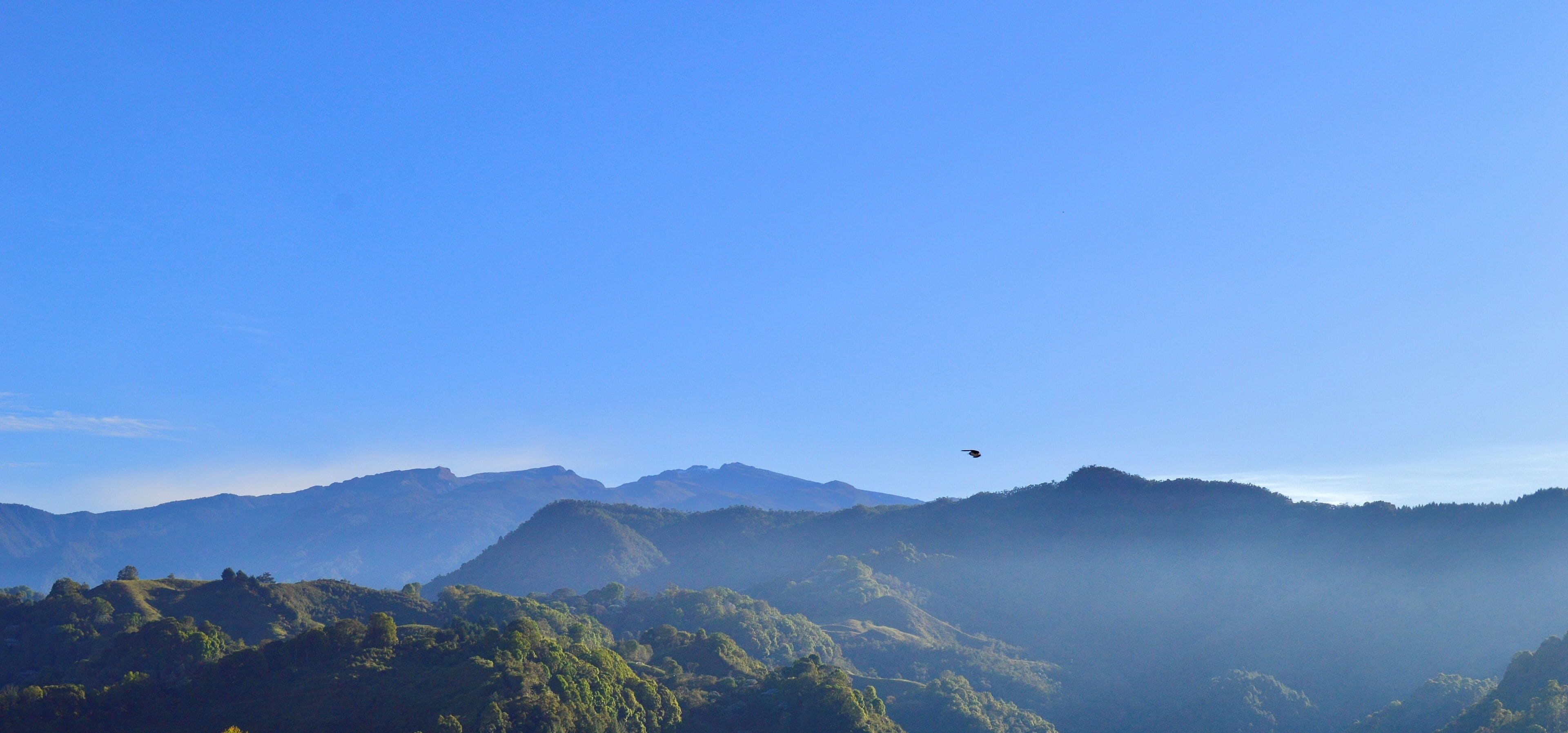 A mountainous landscape with a clear sky and a bird flying.
