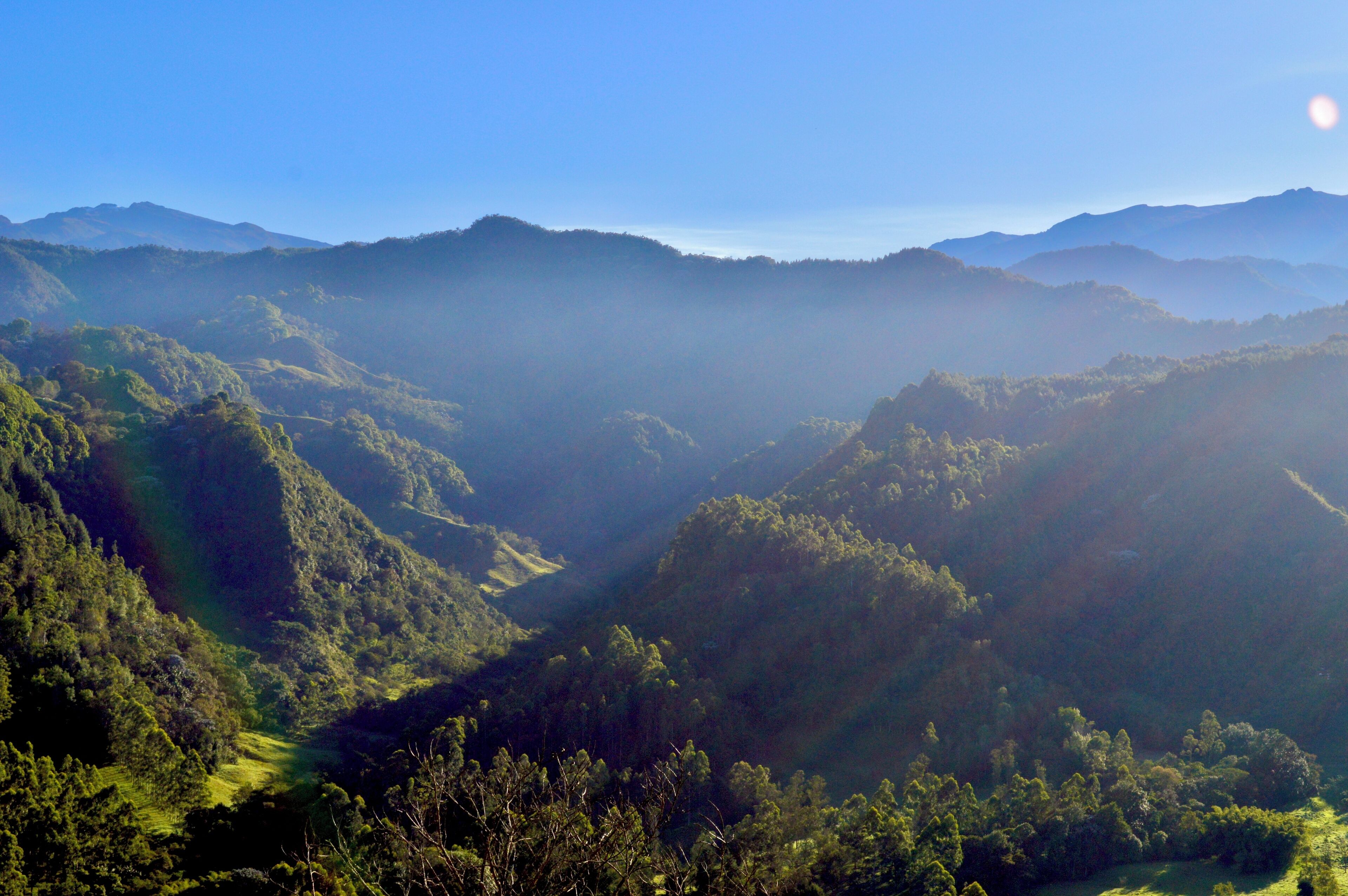 A mountainous landscape with dense forests and a clear sky.