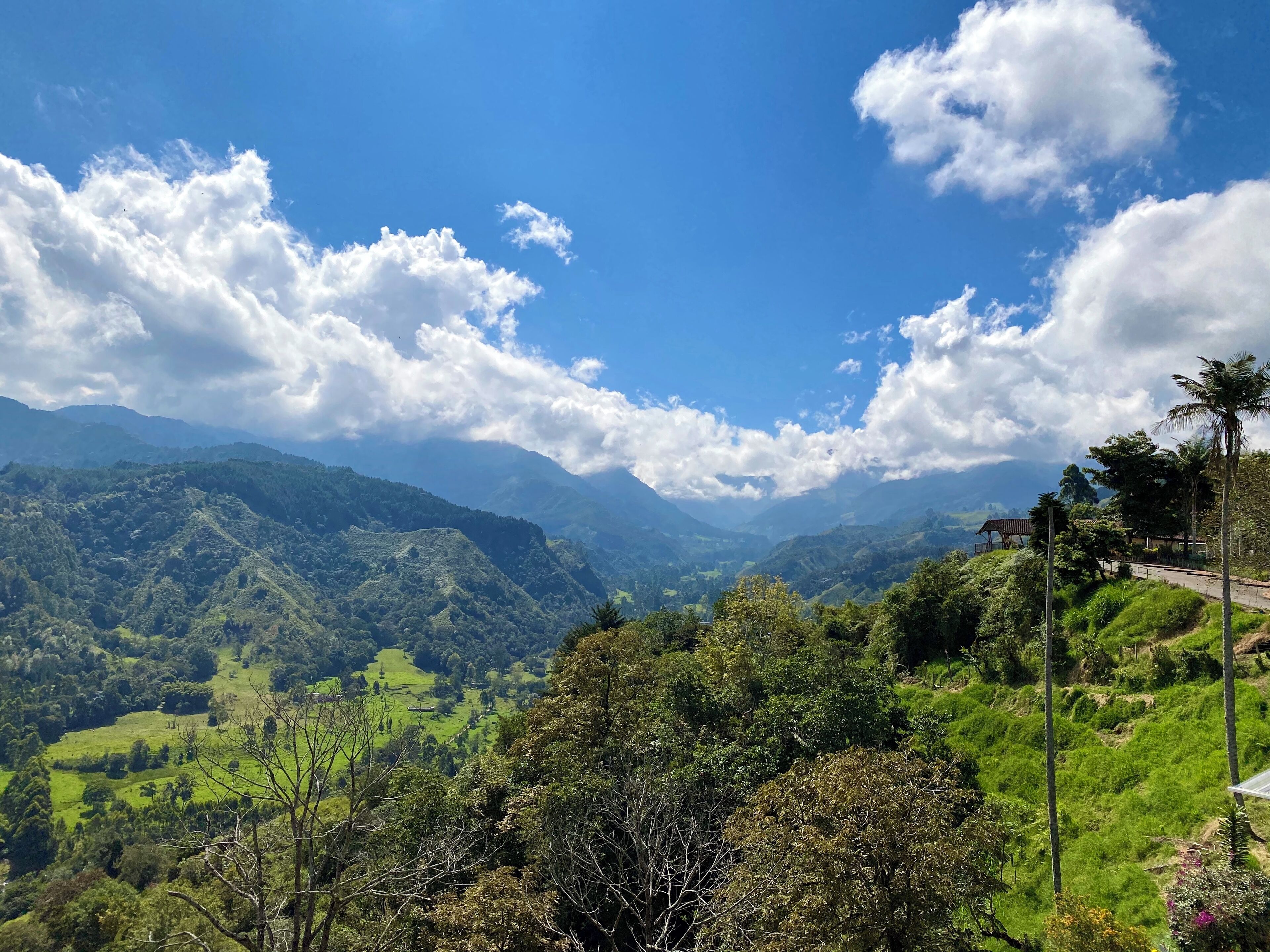 A panoramic view of a lush green valley with rolling hills and a clear blue sky.