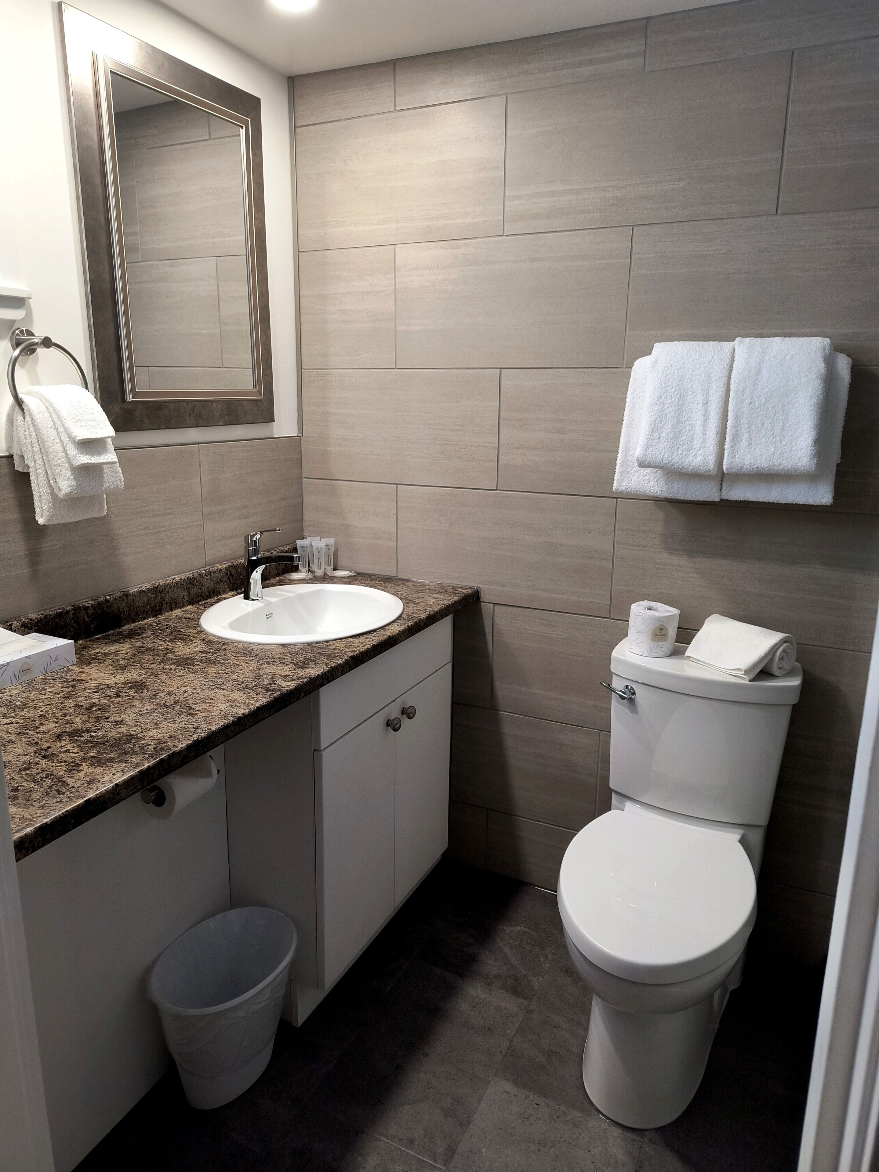 A modern bathroom with a granite countertop sink, a mirror, a toilet, and a trash can.