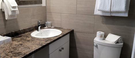 Une salle de bain moderne avec un lavabo à vasque en granit, un miroir, des toilettes et une poubelle.