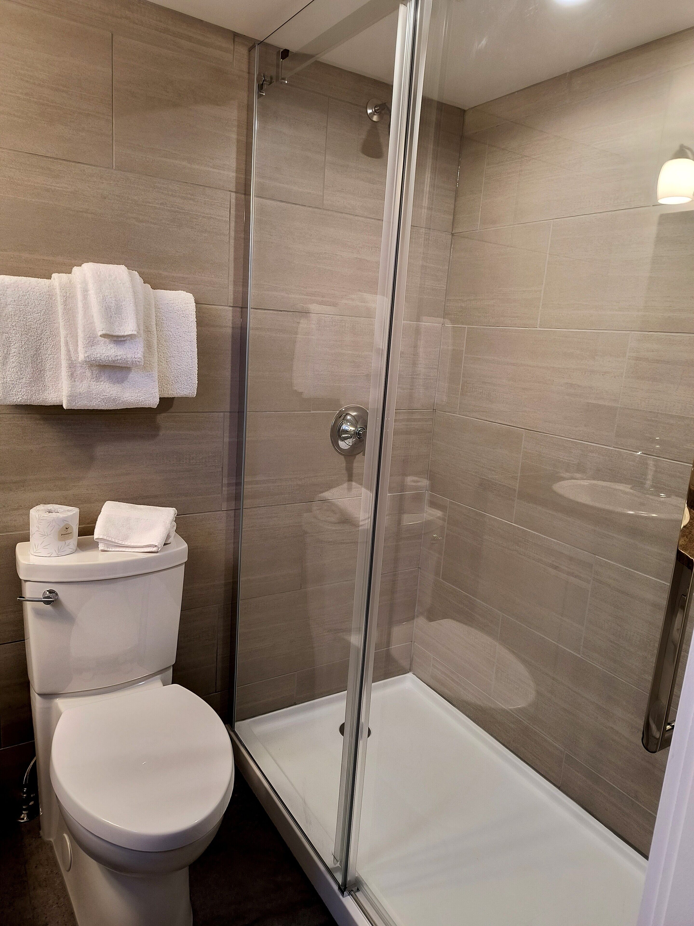 A modern bathroom with a glass-enclosed shower, a toilet, and a sink.