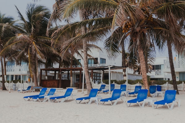 A beach with blue lounge chairs and palm trees.