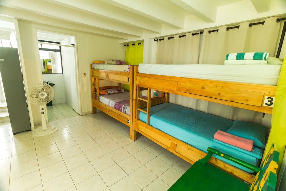 Superior Shared Dormitory, Mixed Dorm, Shared Bathroom