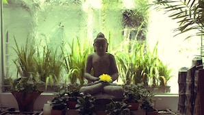 Una statua di Buddha in una stanza con piante in vaso e una finestra.