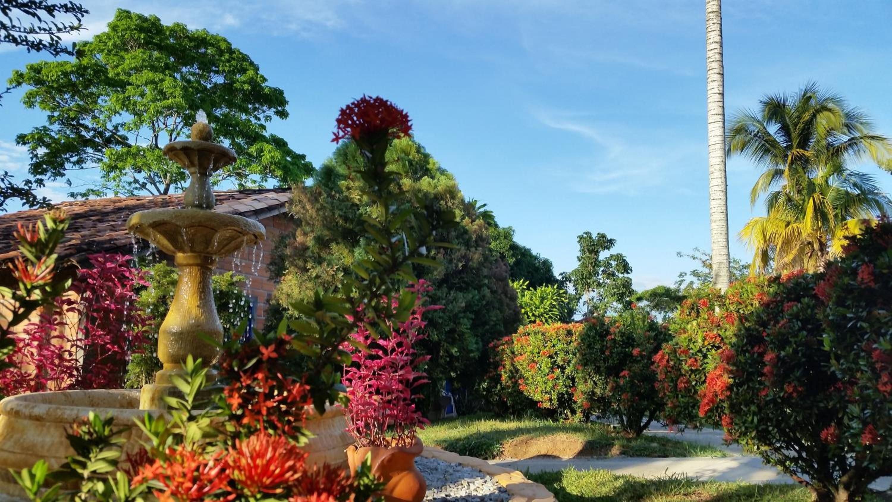A garden with a fountain, palm trees, and various flowering plants.