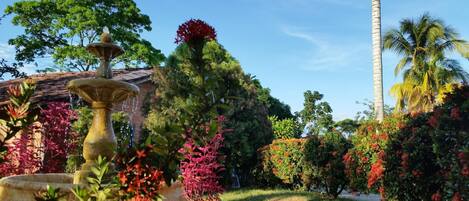 A garden with a fountain, palm trees, and various flowering plants.