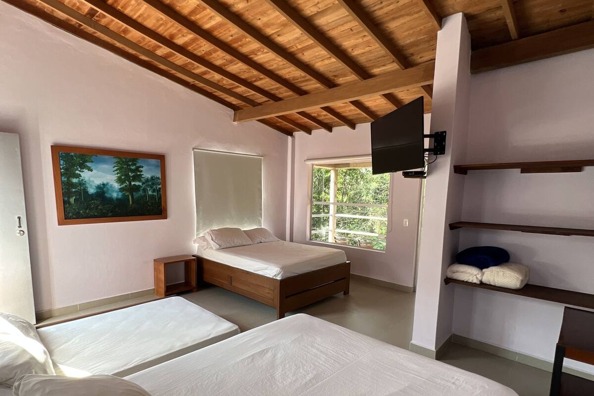 Een slaapkamer met twee bedden, een aan de muur bevestigde televisie, een raam met uitzicht op bomen en een schilderij.