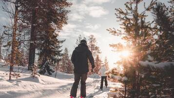 Henkilö hiihtää lumisessa metsässä, jossa on puita ja auringonpaistetta.