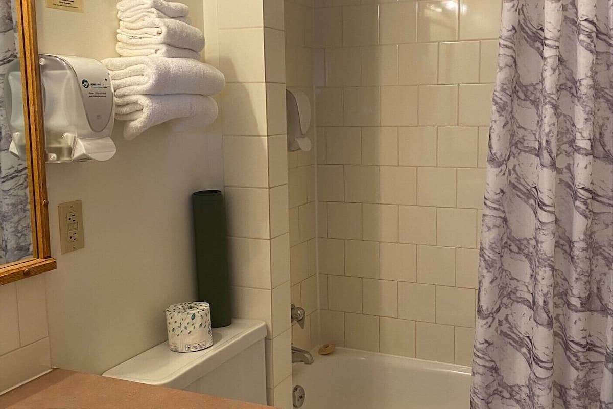 combined shower/bathtub, free toiletries, hair dryer, towels