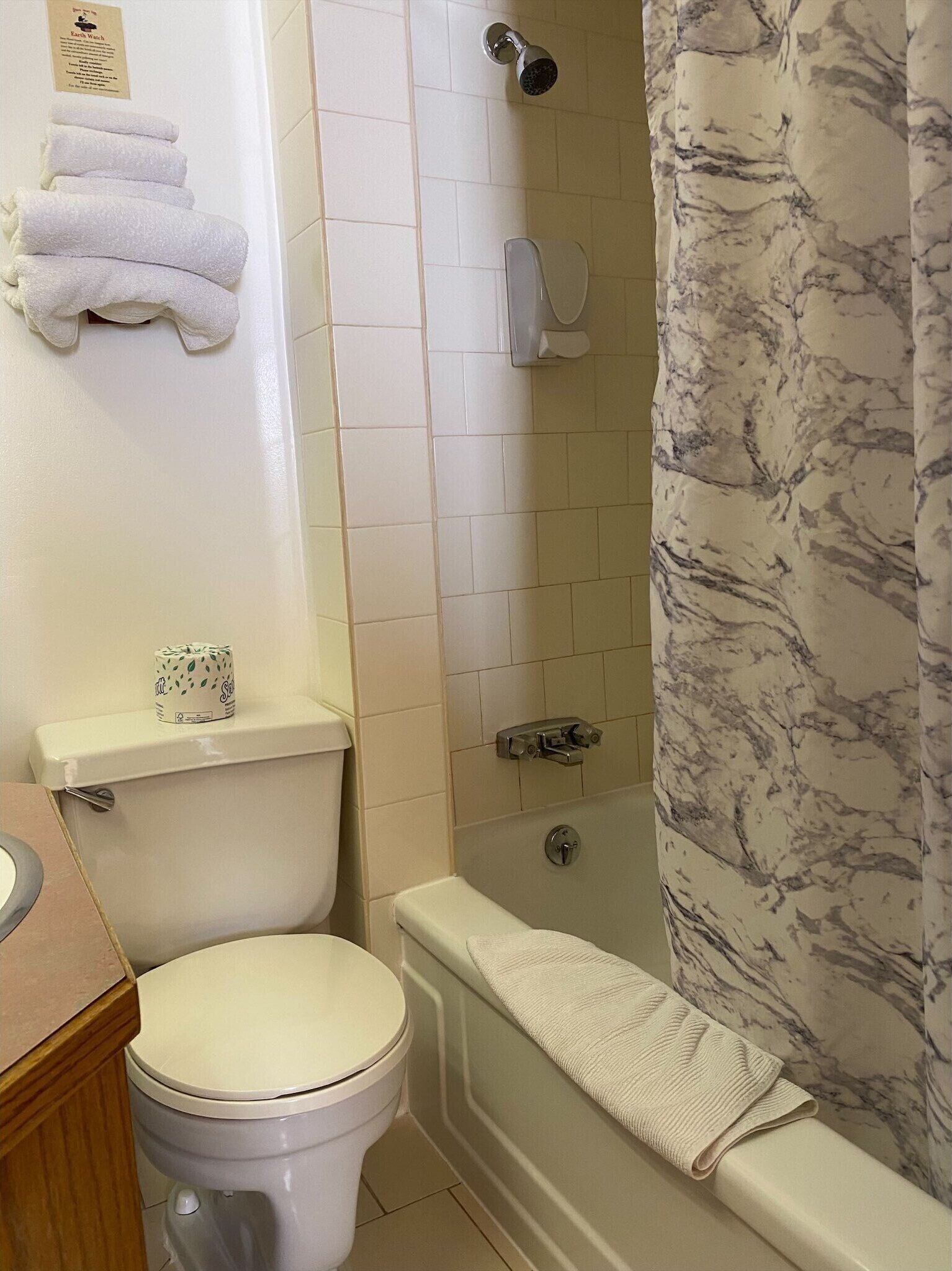combined shower/bathtub, free toiletries, hair dryer, towels