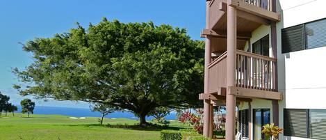 Un immeuble doté d’un balcon, d’un grand arbre et offrant une vue sur l’océan.