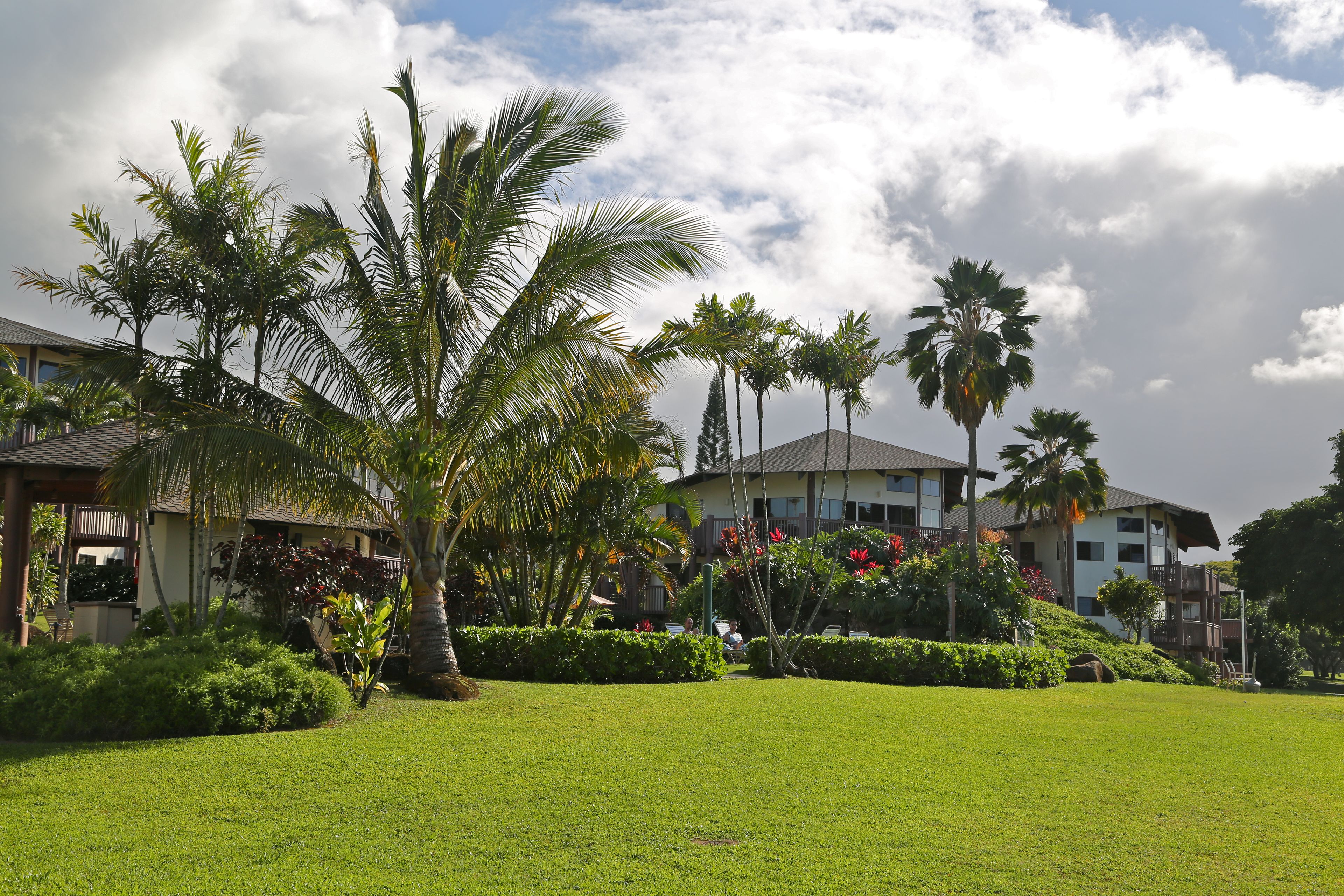 A well-maintained lawn, palm trees, and a multi-story building with balconies.