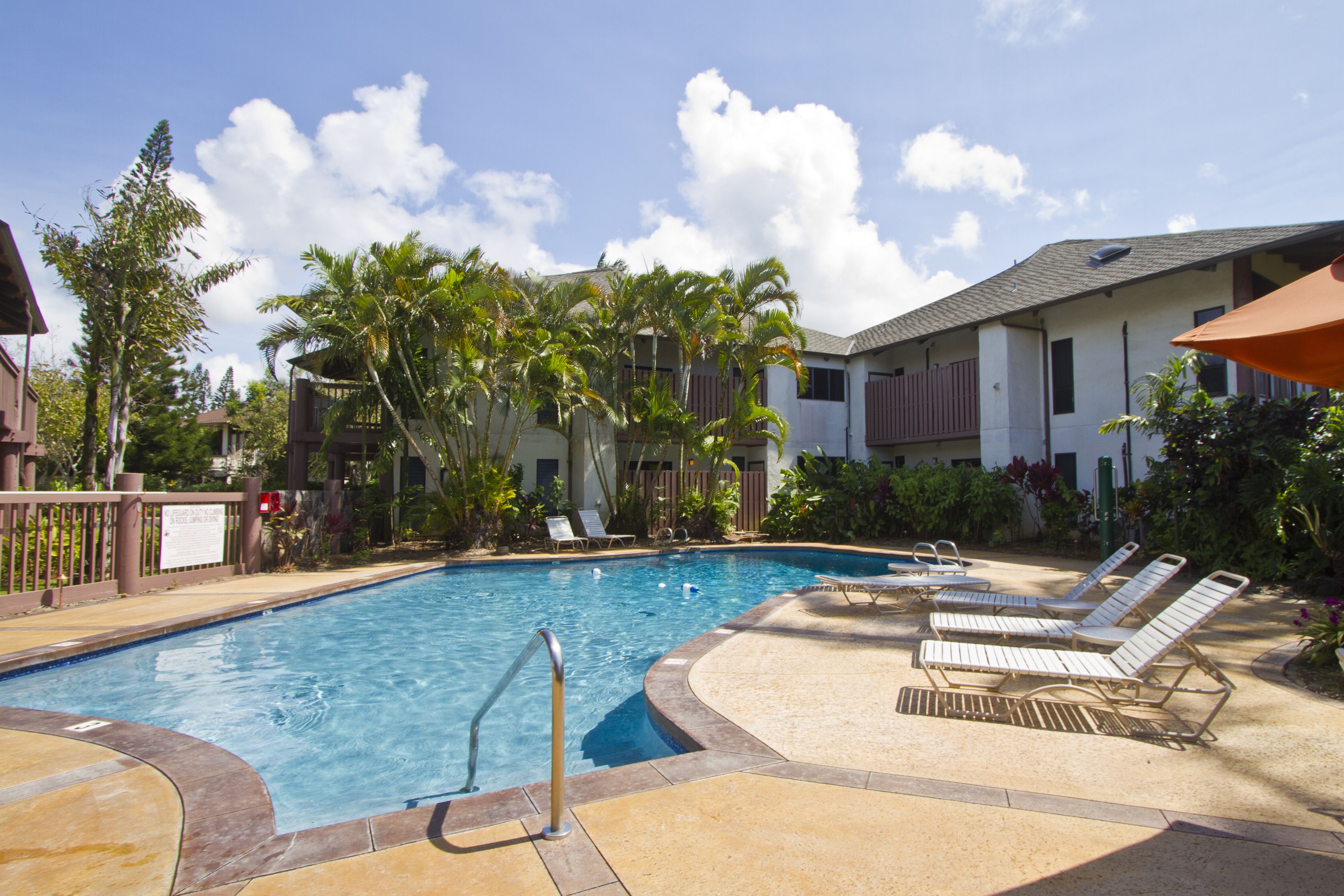 A swimming pool with lounge chairs and palm trees.