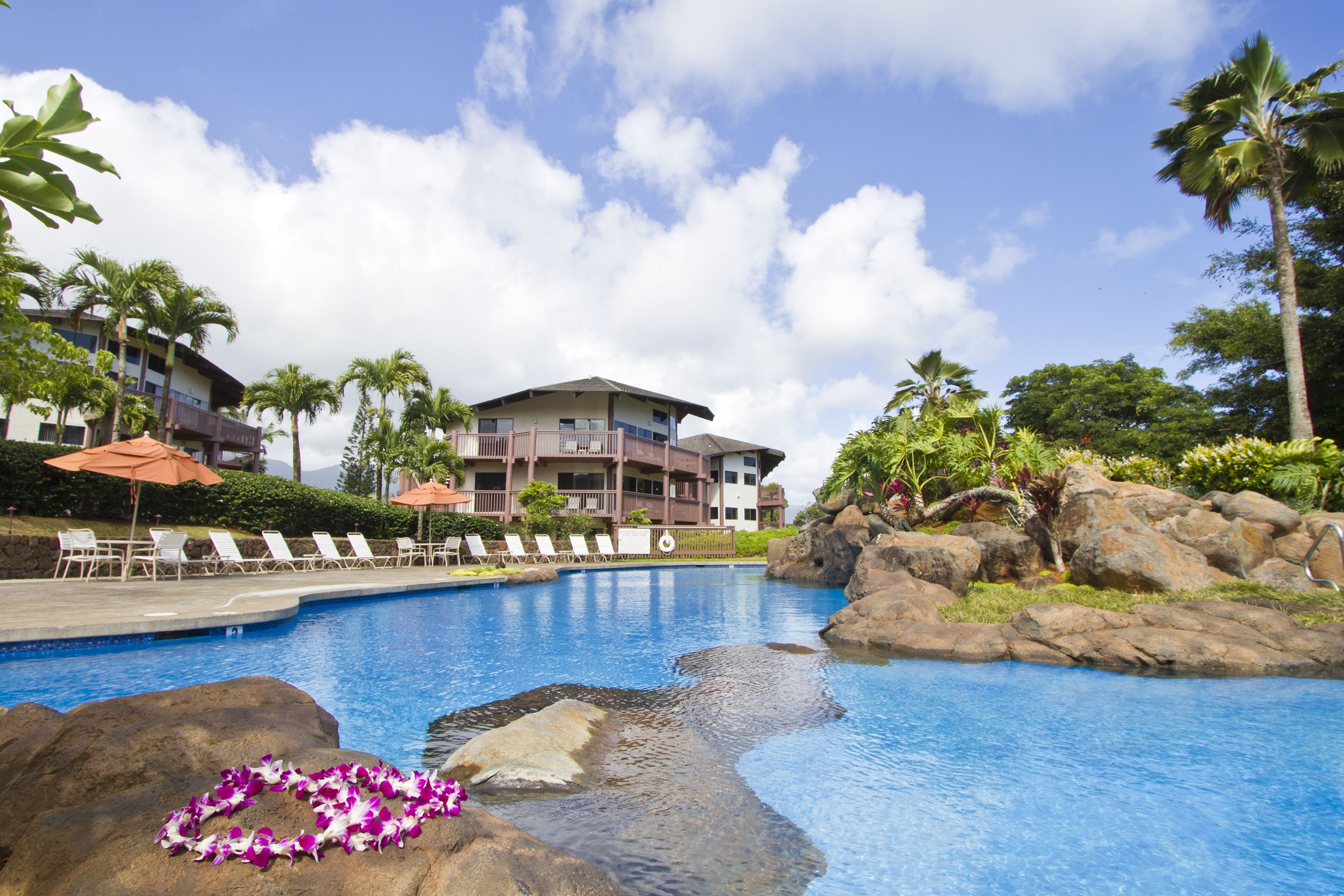 A swimming pool with lounge chairs and umbrellas, surrounded by rocks and palm trees.