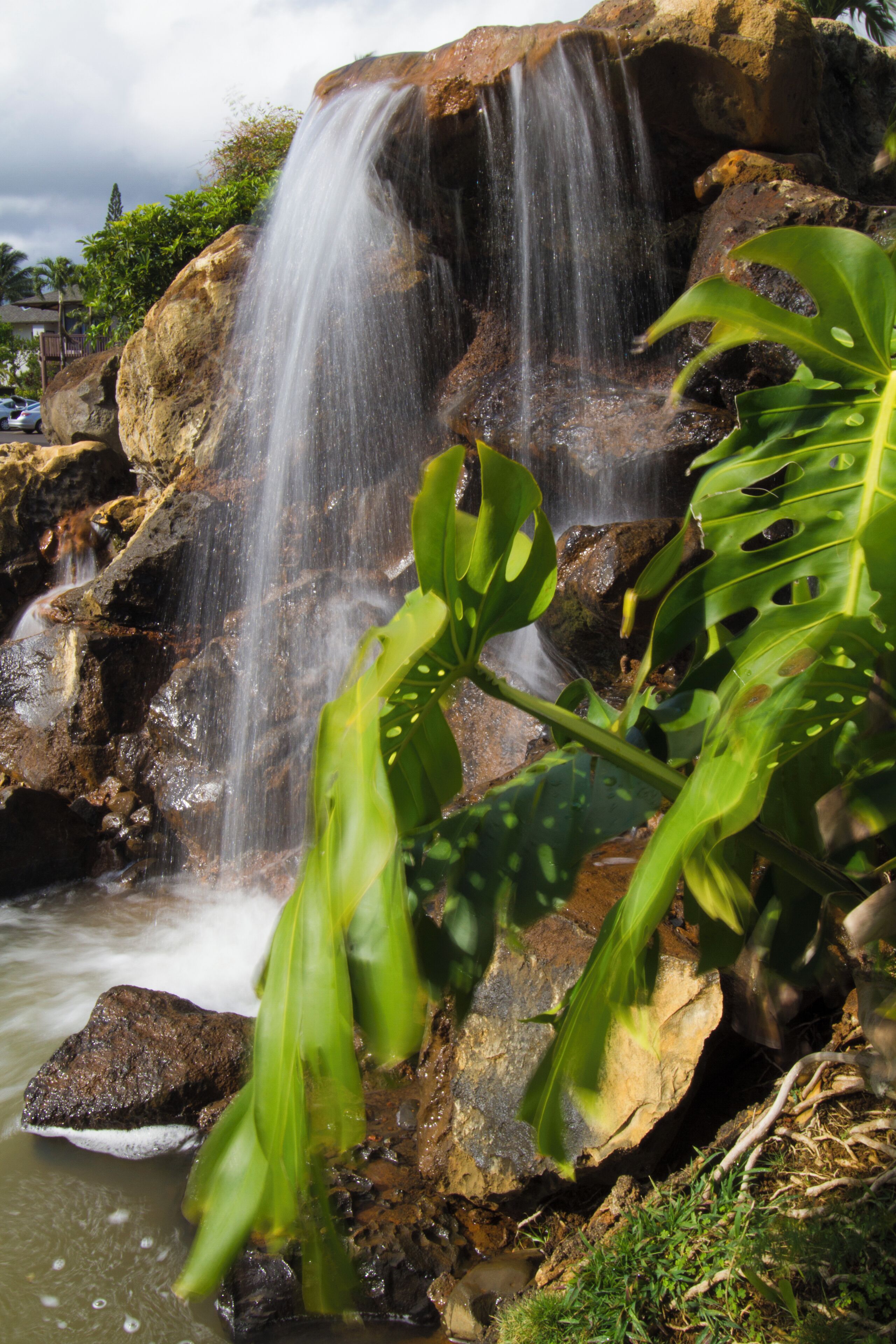 Een waterval die over rotsen stroomt, omringd door weelderige begroeiing.