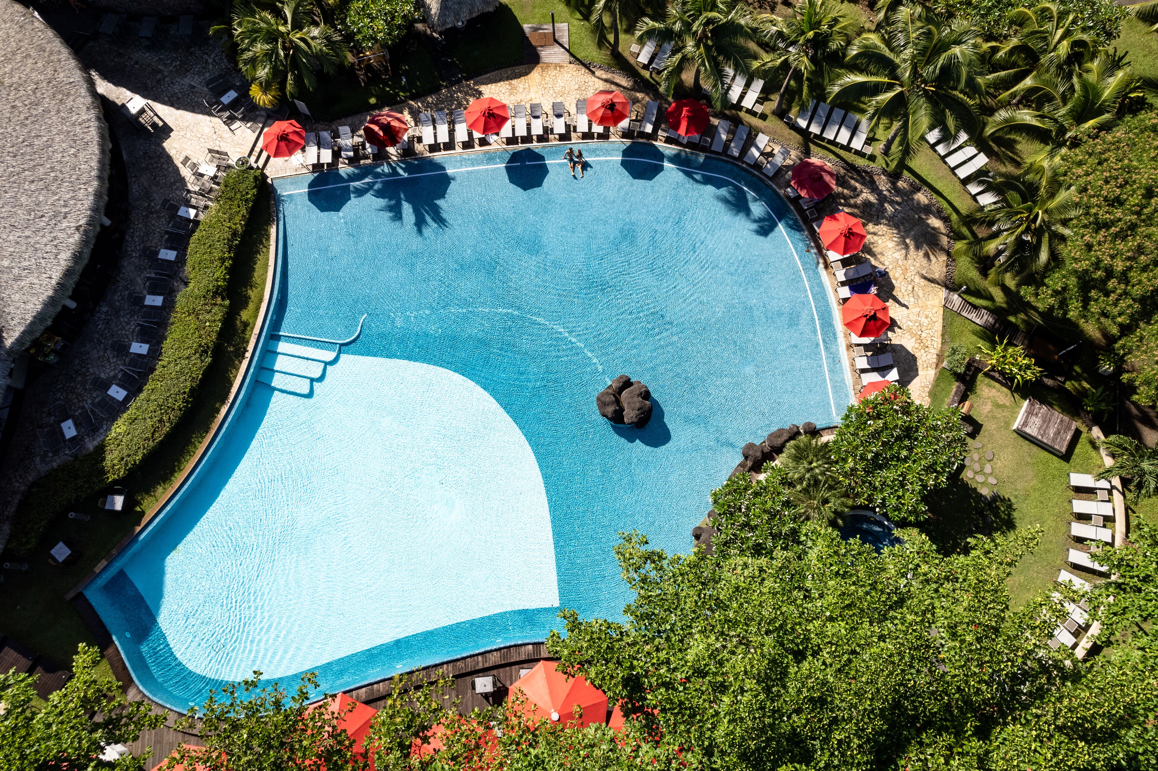 An aerial view of a swimming pool with lounge chairs and umbrellas, surrounded by palm trees and greenery.