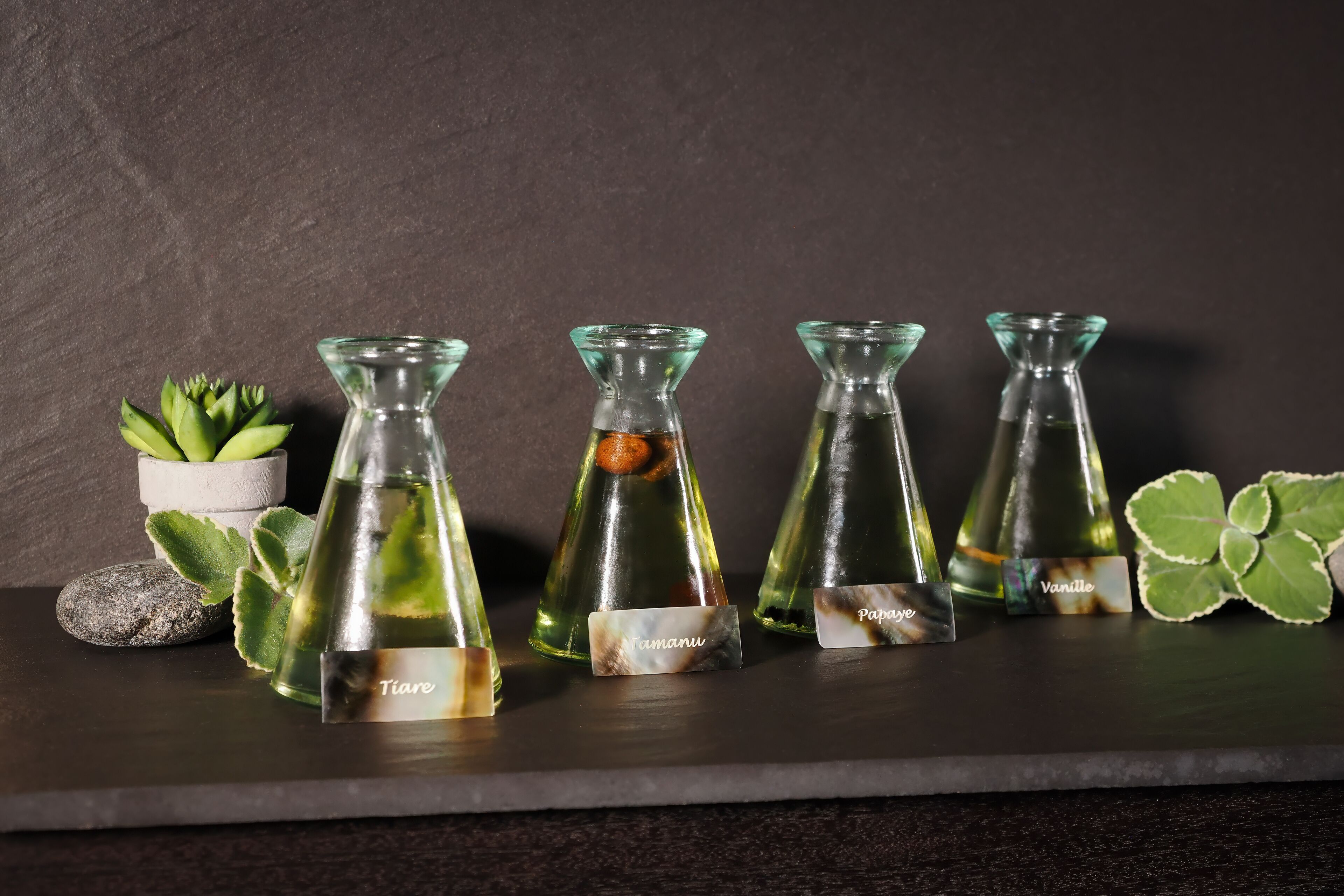 Cinco botellas de vidrio con etiquetas sobre una superficie oscura, rodeadas de pequeñas plantas y una roca.
