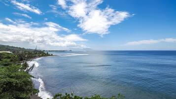 Signature Suite, 1 Bedroom, Kitchen, Oceanfront | View from room