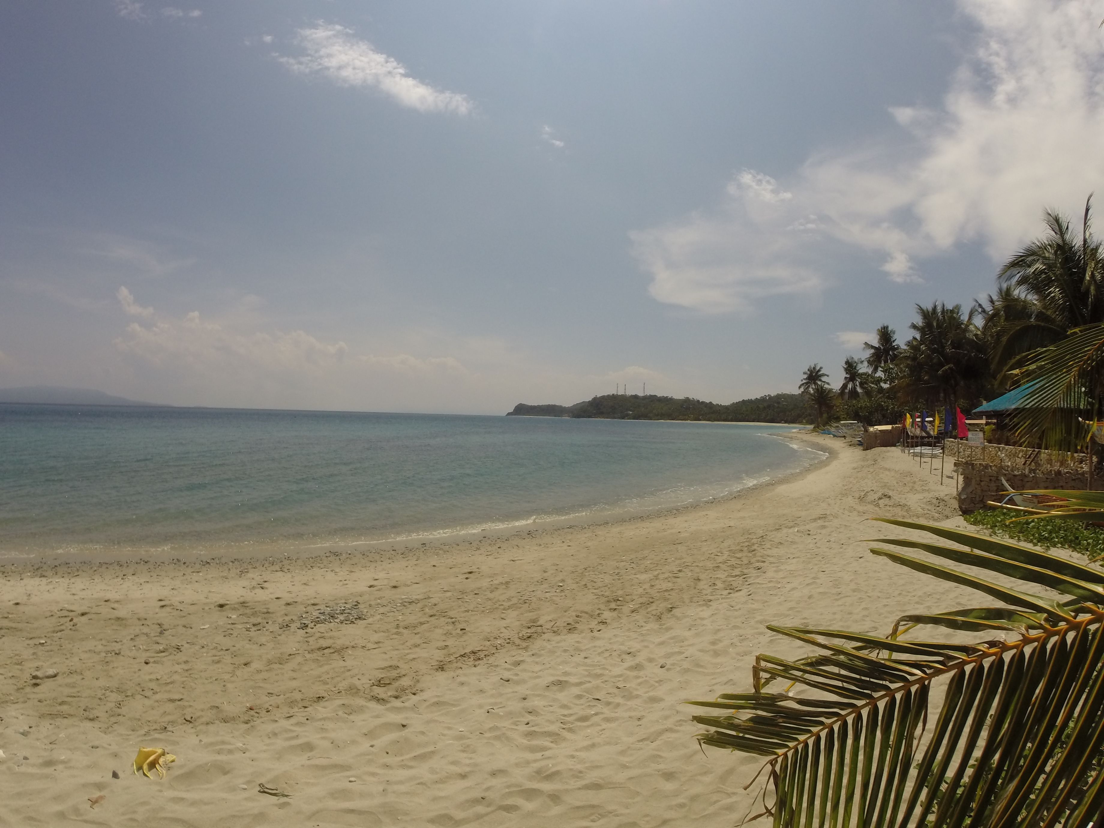 A beach with clear water, a sandy shore, and palm trees.