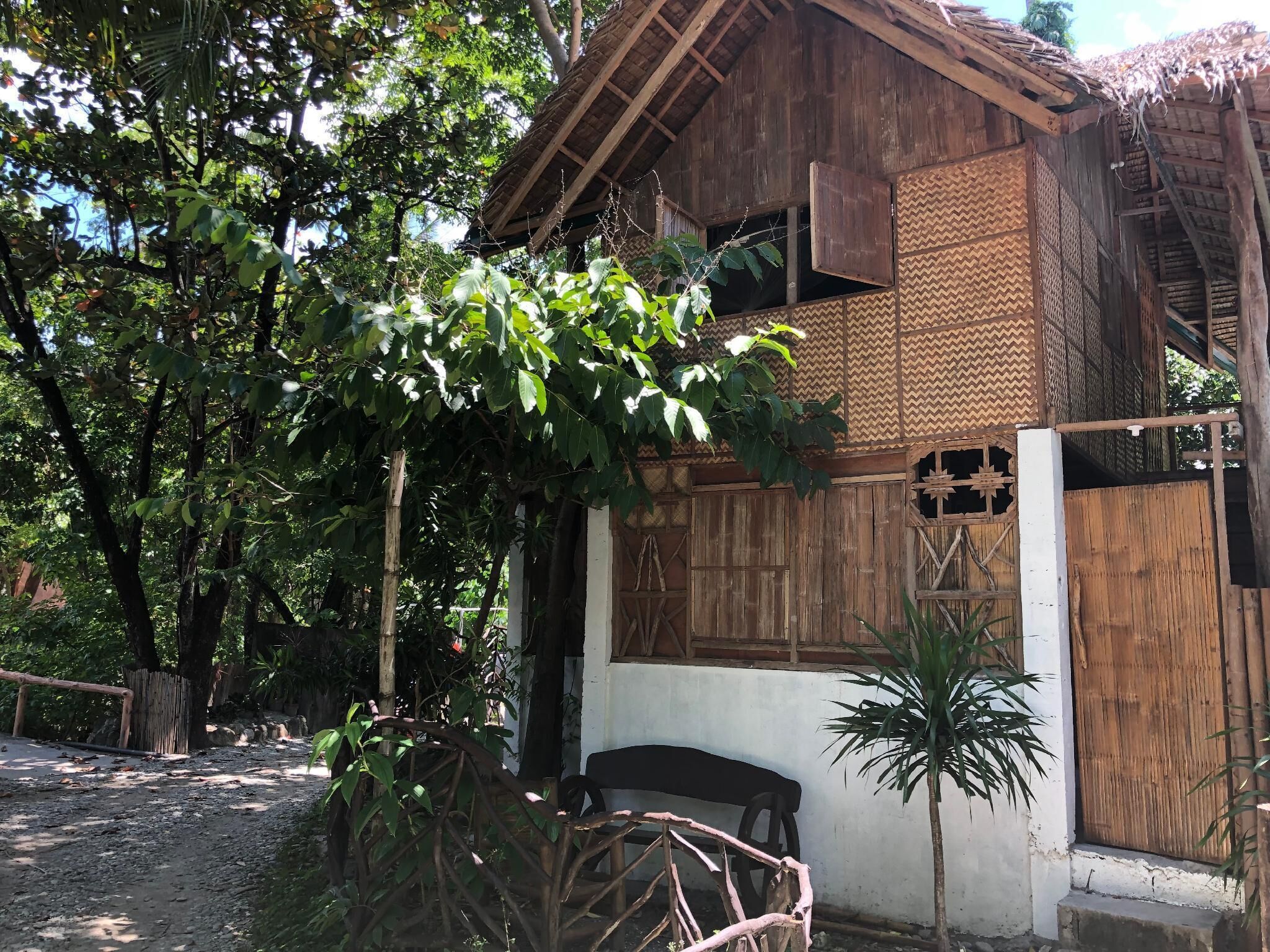 Une maison rustique en bois, dotée d’un toit de chaume, entourée d’une végétation luxuriante et bordée d’un chemin de terre.